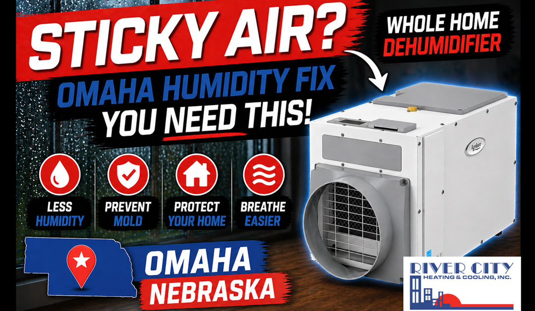 Whole Home Dehumidifiers in Omaha: What You Need to Know